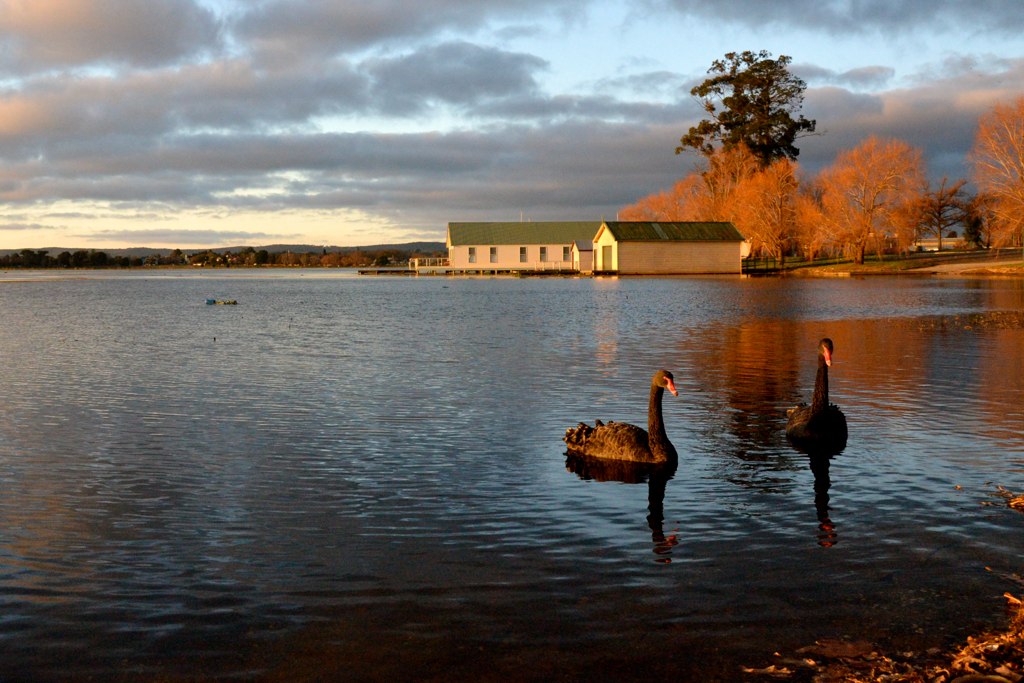 Ballarat