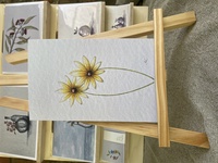 Daisies Greeting Card