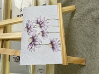 Echinacea Greeting Card