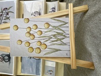 Billy Buttons Greeting Card