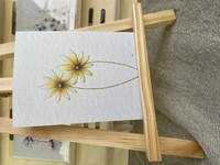 Daisies Note Card