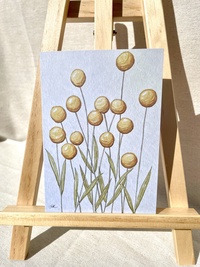 Billy Buttons Note Card