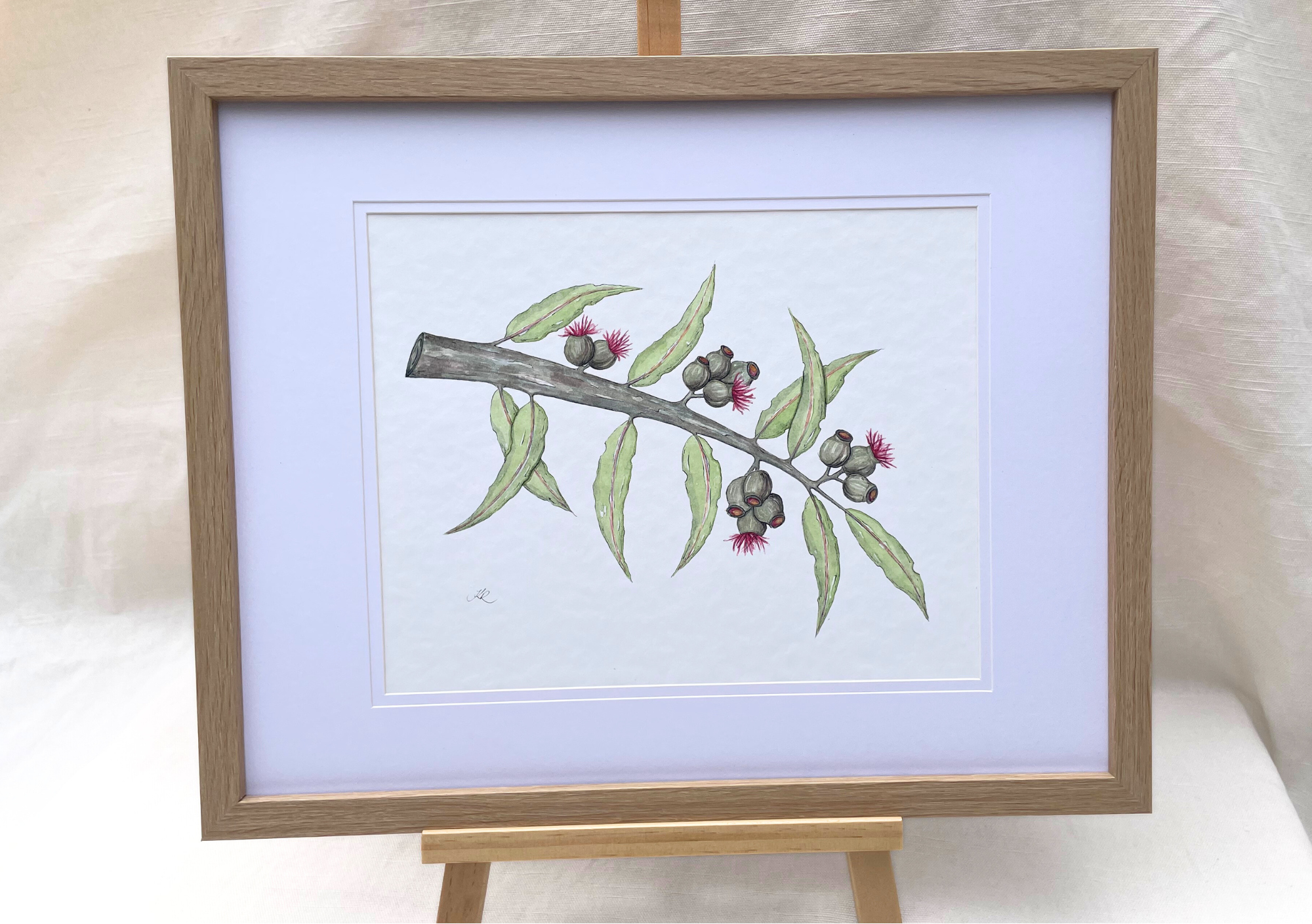 Gumnuts Original Watercolour