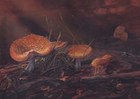 Undergrowth - Acrylic Painting on Panel