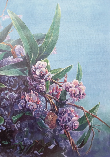 Happy Wanderer Hardenbergia - Acrylic Painting on Paper